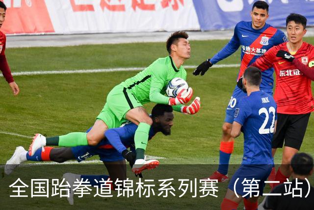 全国跆拳道锦标系列赛（第二站）第三日 冀晋浙苏各得一金