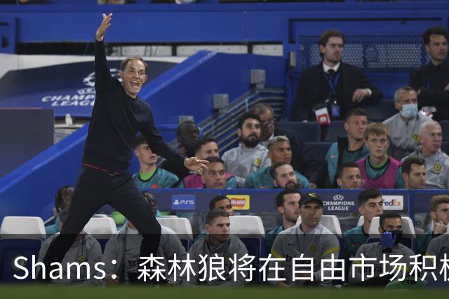 Shams：森林狼将在自由市场积极补强4号位 但他们只能提供底薪